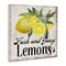 Stupell Industries Fresh & Juicy Lemons Canvas Wall Art Design by Creatif Belle